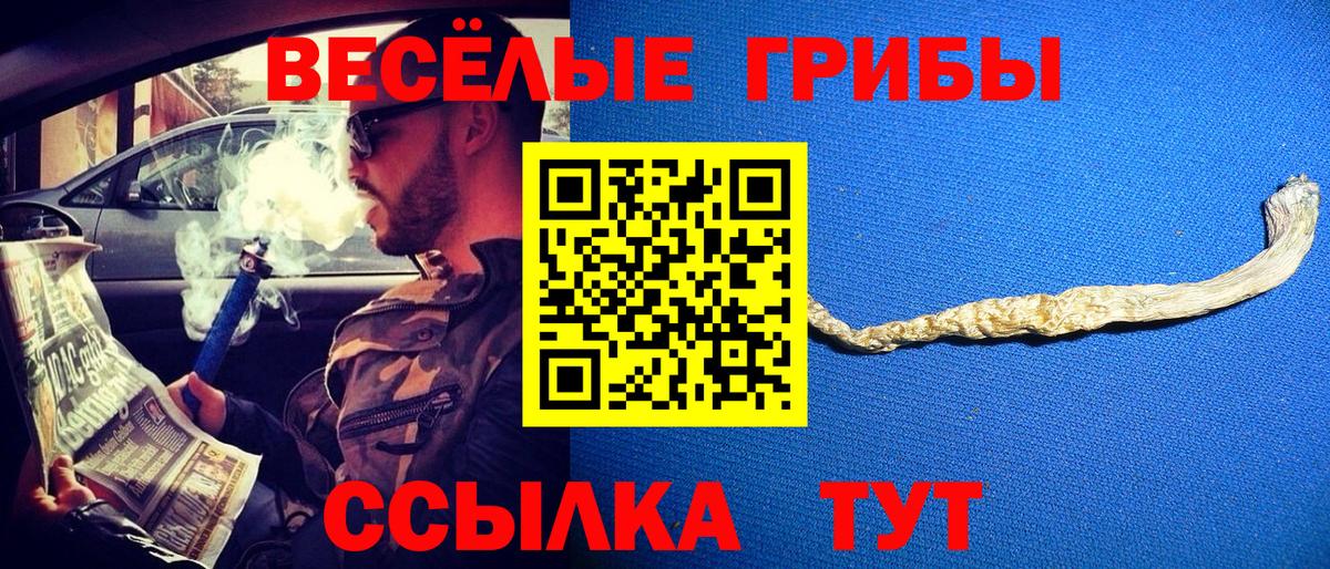 ГАШ Электросталь